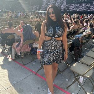 Express Sequin Fit & Flare / Taylor Swift 2016 Met Gala Dupe